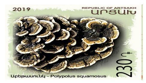 Ներմուծեք նկարագրությունը_2399